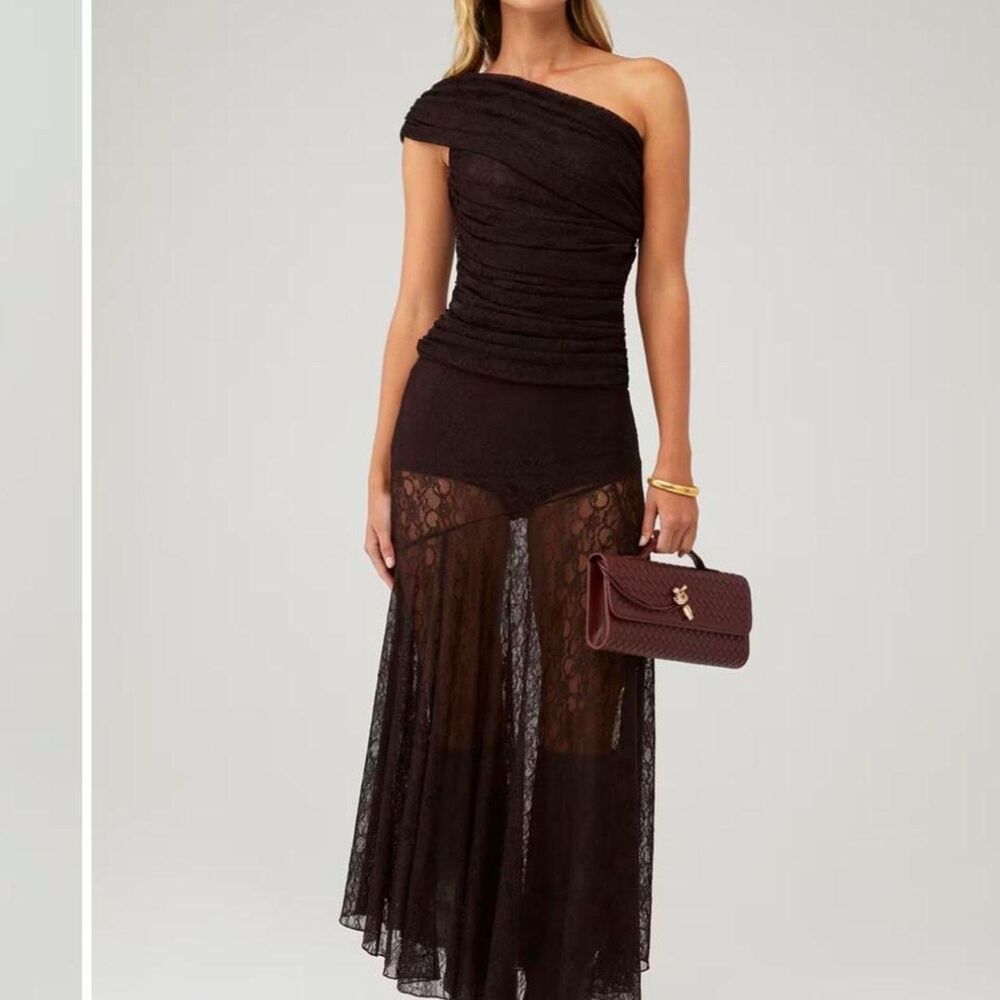 Ronny kobo sheer lace maxi skirt